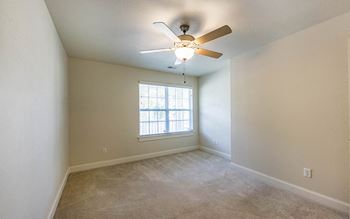 Ceiling fans
